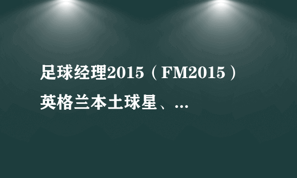 足球经理2015（FM2015） 英格兰本土球星、妖人球员推荐 附训练及使用方法