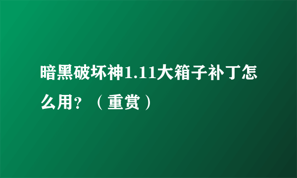 暗黑破坏神1.11大箱子补丁怎么用？（重赏）