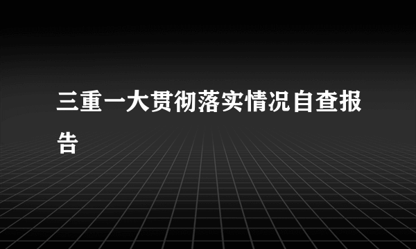 三重一大贯彻落实情况自查报告