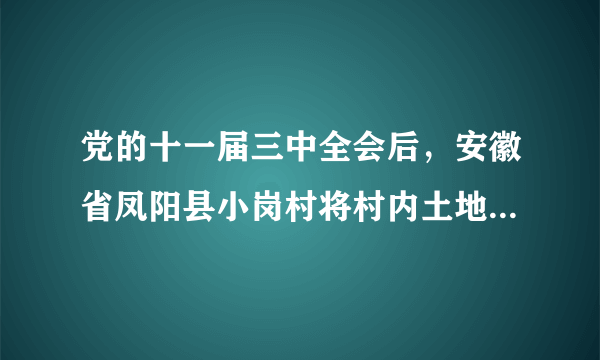 党的十一届三中全会后，安徽省凤阳县小岗村将村内土地分开承包，开创了（　　）的先河，农村改革率先取得突破，乡镇企业迅速发展。A.“一国两制”B. 改革开放C. 社会主义市场经济体制D. 家庭联产承包责任制