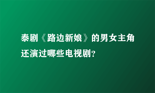 泰剧《路边新娘》的男女主角还演过哪些电视剧？