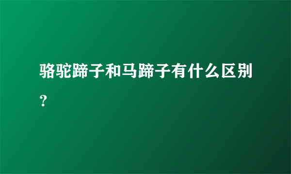 骆驼蹄子和马蹄子有什么区别？