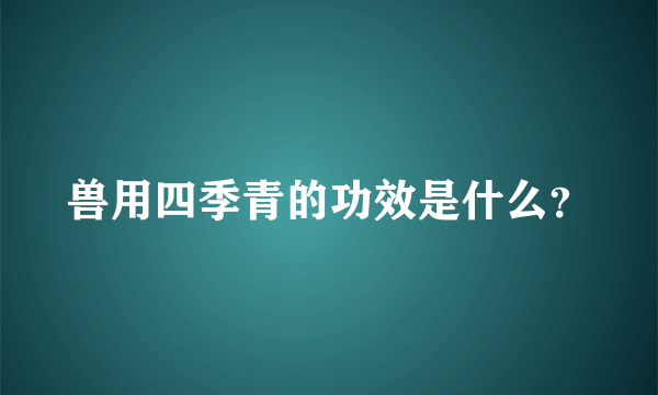 兽用四季青的功效是什么？