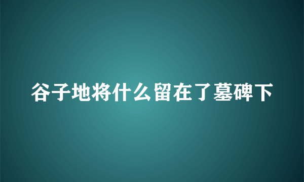 谷子地将什么留在了墓碑下