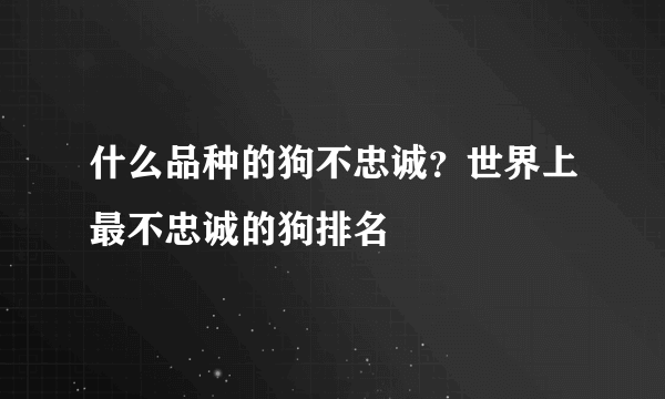 什么品种的狗不忠诚？世界上最不忠诚的狗排名