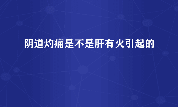 阴道灼痛是不是肝有火引起的