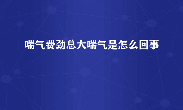 喘气费劲总大喘气是怎么回事