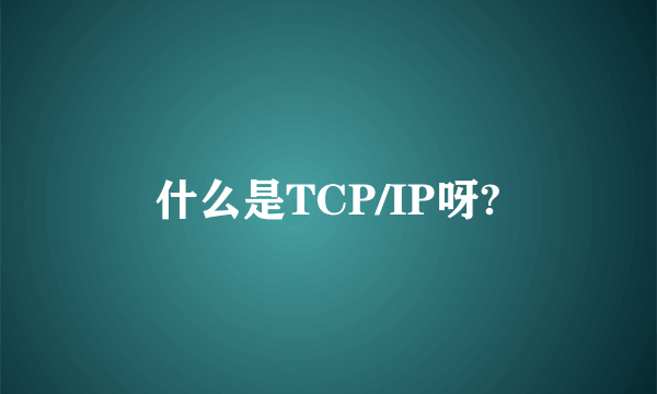 什么是TCP/IP呀?