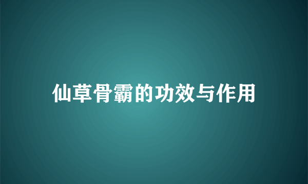 仙草骨霸的功效与作用