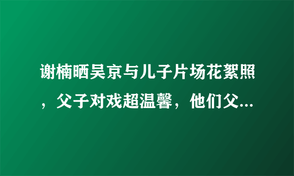 谢楠晒吴京与儿子片场花絮照，父子对戏超温馨，他们父子之间的感情如何？