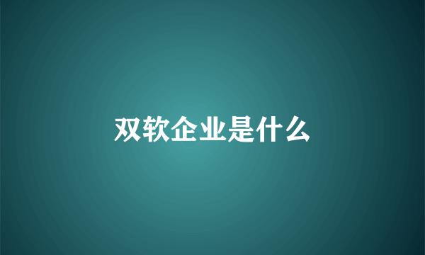 双软企业是什么