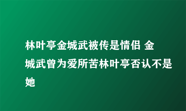 林叶亭金城武被传是情侣 金城武曾为爱所苦林叶亭否认不是她