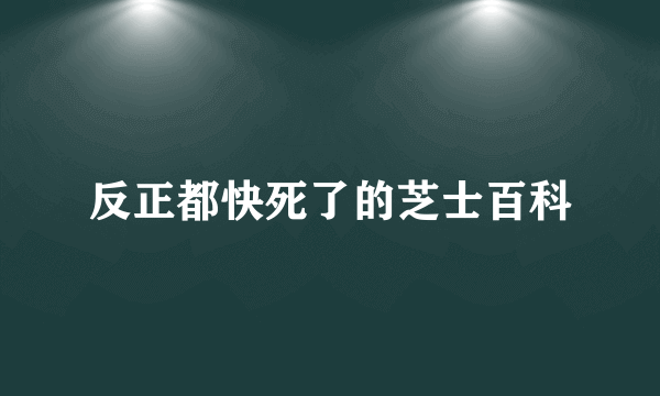 反正都快死了的芝士百科