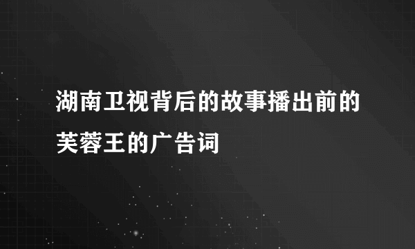 湖南卫视背后的故事播出前的芙蓉王的广告词