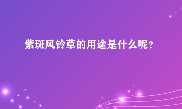 紫斑风铃草的用途是什么呢？