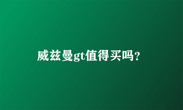 威兹曼gt值得买吗？