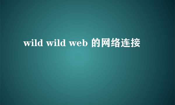 wild wild web 的网络连接