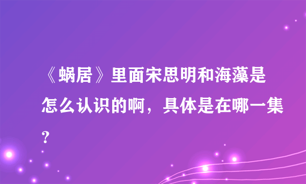 《蜗居》里面宋思明和海藻是怎么认识的啊，具体是在哪一集？