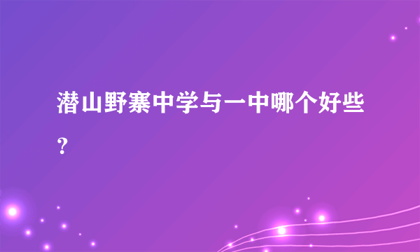 潜山野寨中学与一中哪个好些？