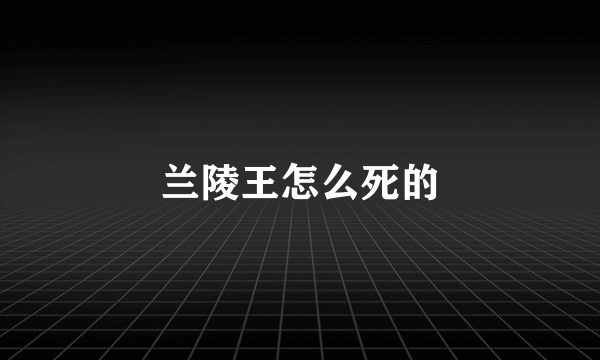 兰陵王怎么死的