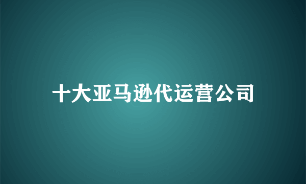 十大亚马逊代运营公司