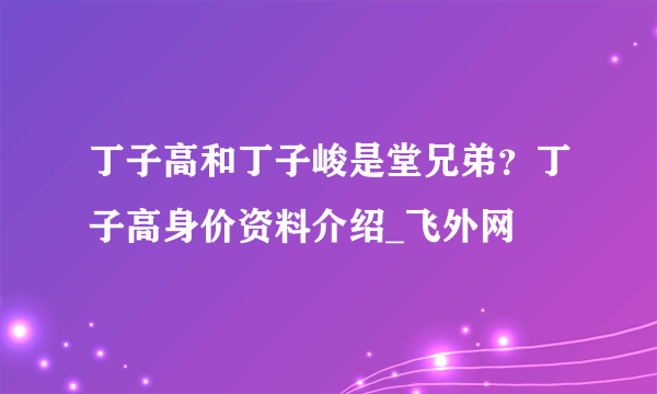 丁子高和丁子峻是堂兄弟？丁子高身价资料介绍_飞外网