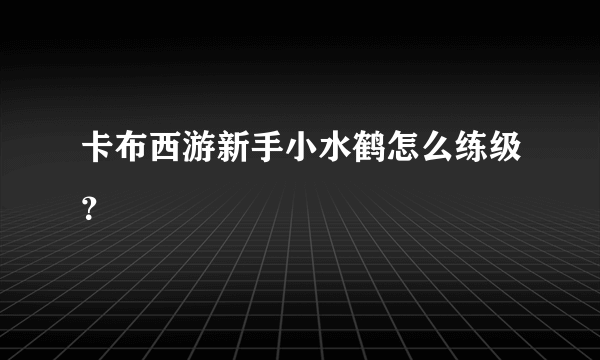 卡布西游新手小水鹤怎么练级？