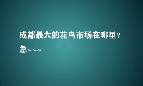 成都最大的花鸟市场在哪里？急~~~