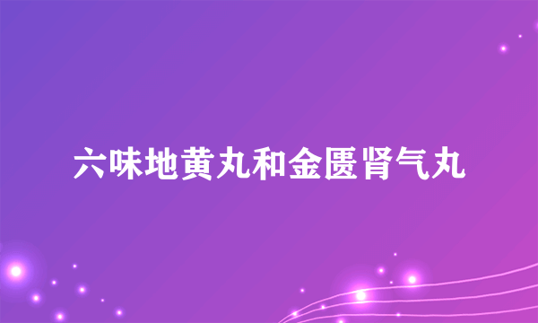 六味地黄丸和金匮肾气丸