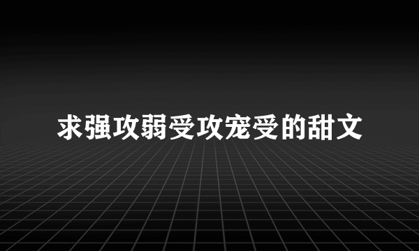 求强攻弱受攻宠受的甜文