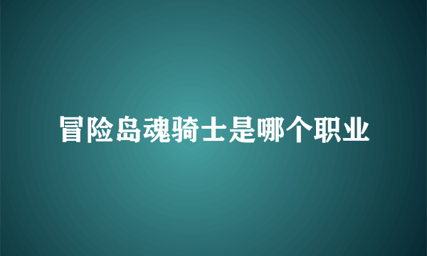 冒险岛魂骑士是哪个职业