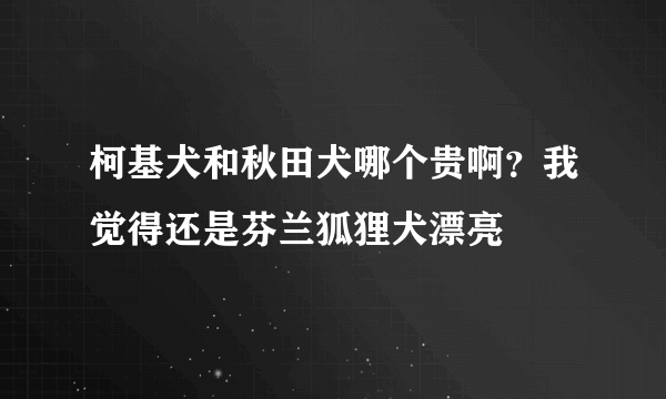 柯基犬和秋田犬哪个贵啊？我觉得还是芬兰狐狸犬漂亮