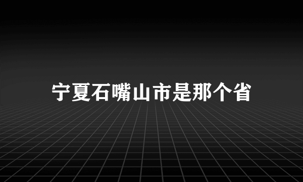 宁夏石嘴山市是那个省