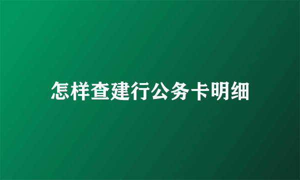 怎样查建行公务卡明细