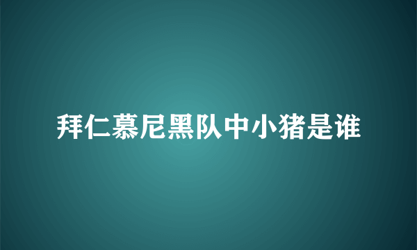 拜仁慕尼黑队中小猪是谁