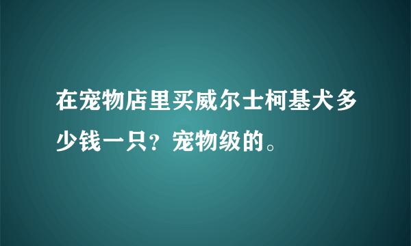 在宠物店里买威尔士柯基犬多少钱一只？宠物级的。