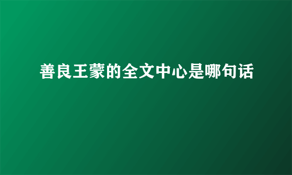 善良王蒙的全文中心是哪句话