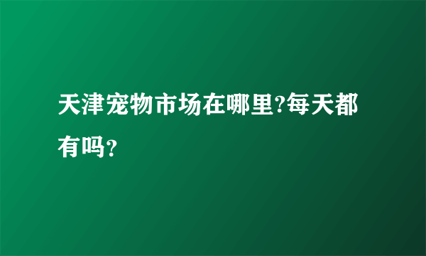 天津宠物市场在哪里?每天都有吗？