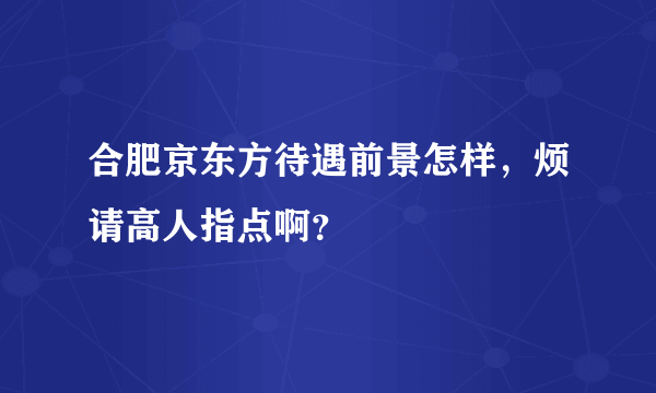 合肥京东方待遇前景怎样，烦请高人指点啊？