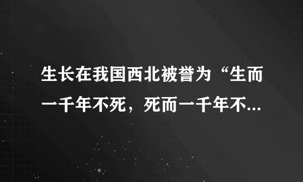 生长在我国西北被誉为“生而一千年不死，死而一千年不倒，倒而一千年不朽”的是树种是