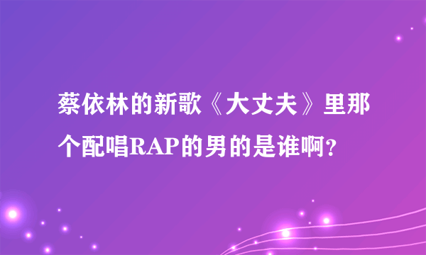 蔡依林的新歌《大丈夫》里那个配唱RAP的男的是谁啊？