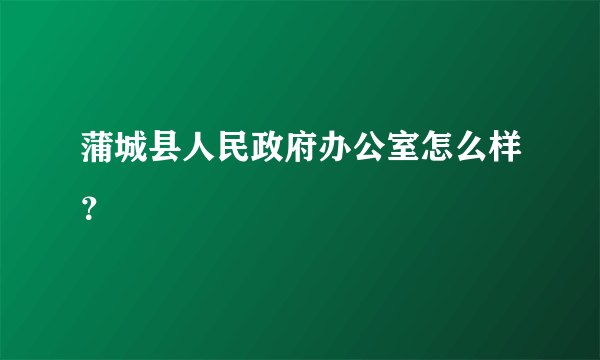 蒲城县人民政府办公室怎么样？