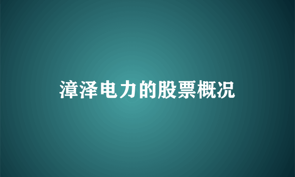 漳泽电力的股票概况