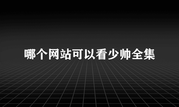 哪个网站可以看少帅全集