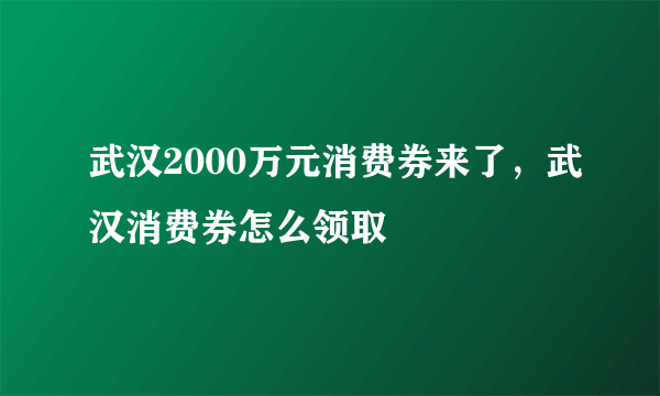 武汉2000万元消费券来了，武汉消费券怎么领取