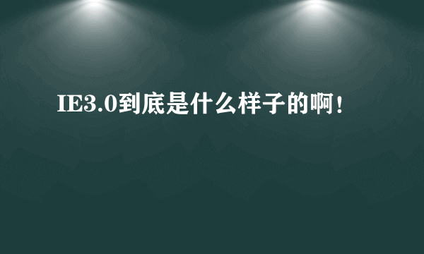 IE3.0到底是什么样子的啊！