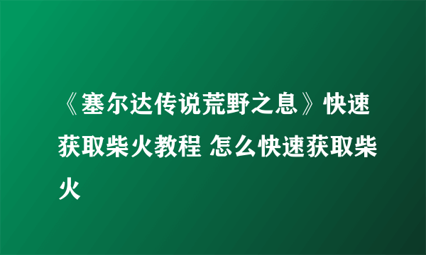 《塞尔达传说荒野之息》快速获取柴火教程 怎么快速获取柴火