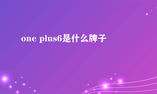 one plus6是什么牌子