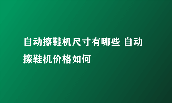 自动擦鞋机尺寸有哪些 自动擦鞋机价格如何