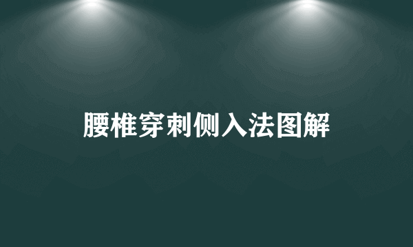 腰椎穿刺侧入法图解